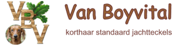 Vanboyvital logo